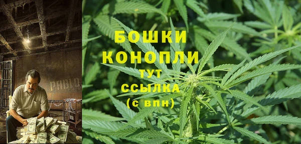 экстази Бородино