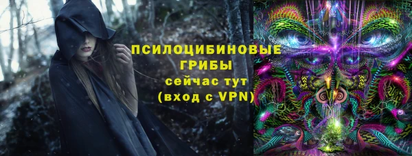 круглые Бронницы