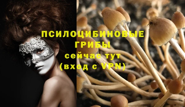 круглые Бронницы