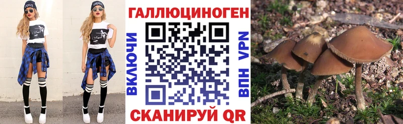 Галлюциногенные грибы прущие грибы  Купить закладки  Павловск 