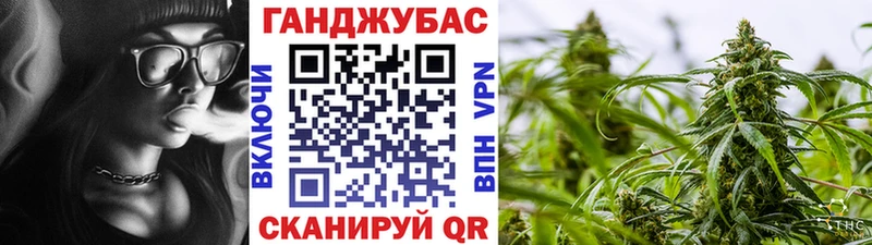 Конопля план Павловск